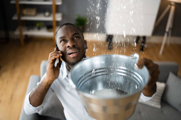 Best Water damage restoration insurance claims  in Deer Lodge, MT