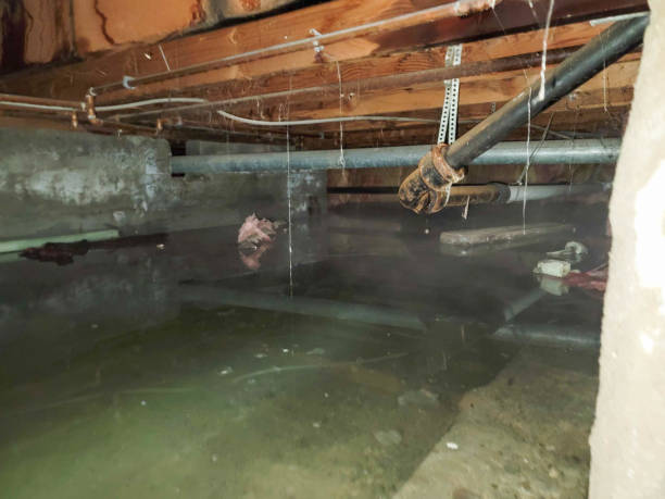 Best 24/7 water damage repair  in Deer Lodge, MT