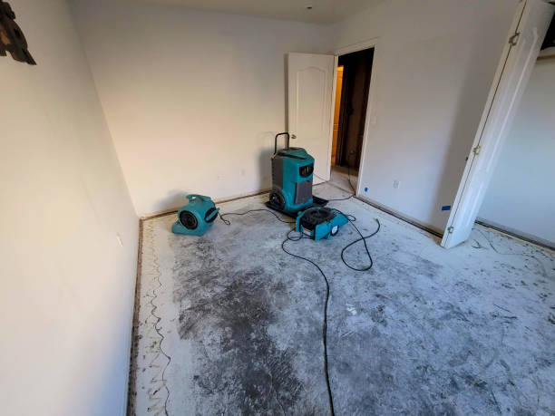 Best Flood restoration services  in Deer Lodge, MT