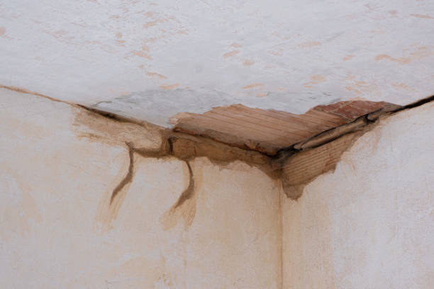 Best Water damage restoration near me  in Deer Lodge, MT