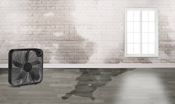 Water damage restoration insurance claims in MT