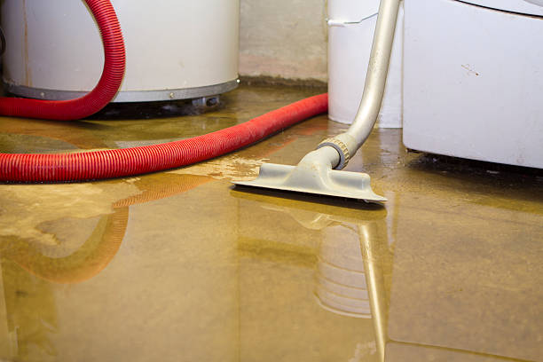 Best Residential water damage restoration  in Deer Lodge, MT