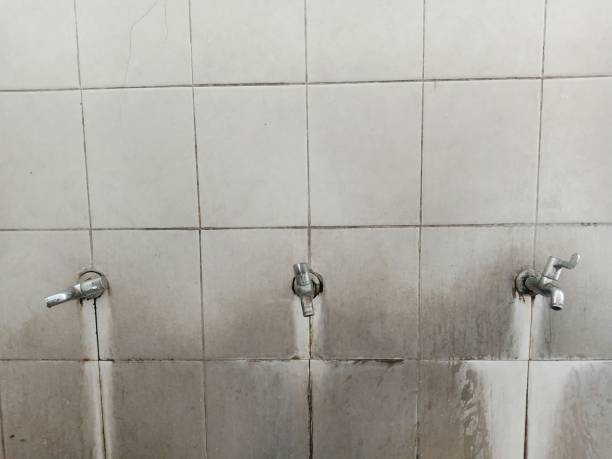 Best Ceiling water damage repair  in Deer Lodge, MT
