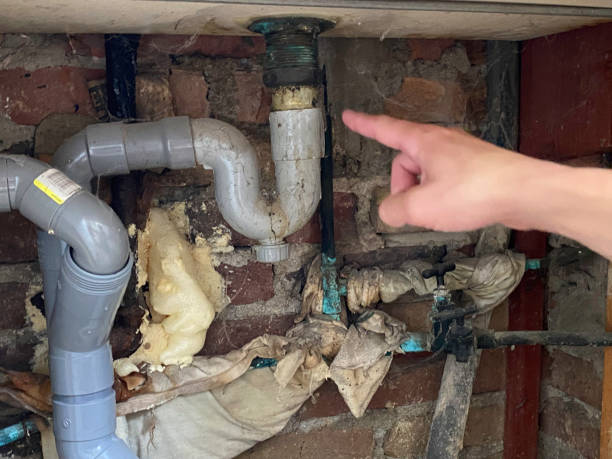 Best Flood restoration services  in Deer Lodge, MT
